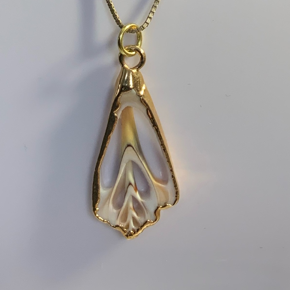 Shell Pendant - Picture 2 of 3